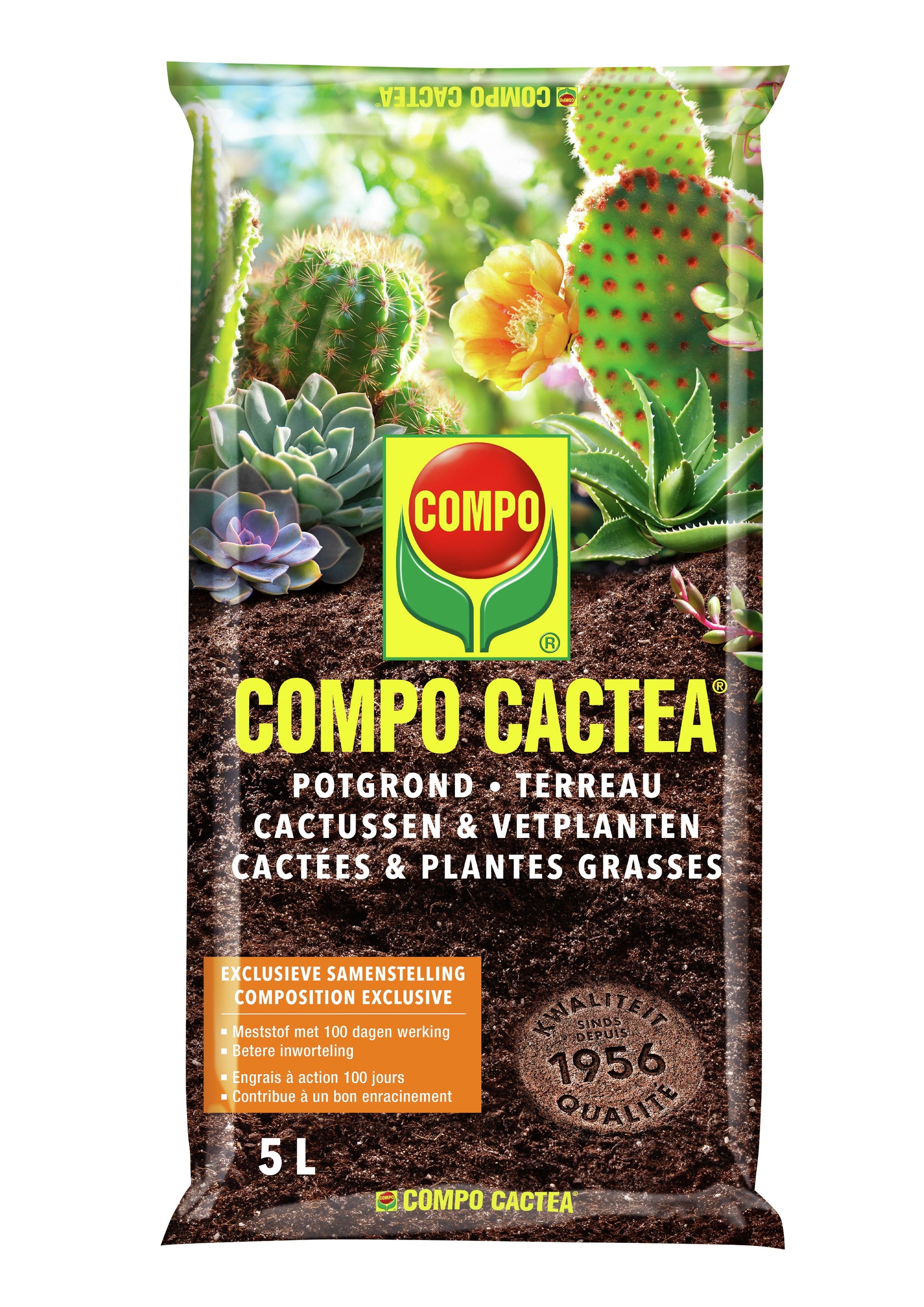 Compo POTGROND CACTUSSEN & VETPLANTEN 5 L